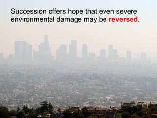 Succession offers hope that even severe environmental damage may be  reversed .  