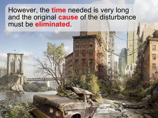 However, the  time  needed is very long and the original  cause  of the disturbance must be  eliminated . 