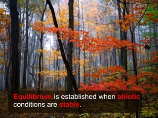 Equilibrium  is established when  abiotic  conditions are  stable . 