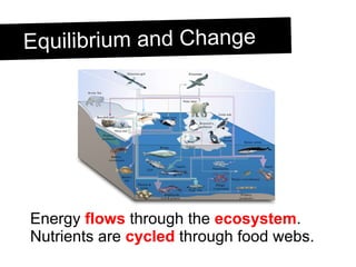 Equilibrium and Change Energy  flows  through the  ecosystem .  Nutrients are  cycled  through food webs.  