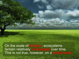 On the scale of  biomes , ecosystems remain relatively  unchanged  over time.  This is not true, however, on a  small scale. 