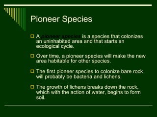 Pioneer Species A  pioneer species  is a species that colonizes an uninhabited area and that starts an ecological cycle. Over time, a pioneer species will make the new area habitable for other species.  The first pioneer species to colonize bare rock will probably be bacteria and lichens.  The growth of lichens breaks down the rock, which with the action of water, begins to form soil. 