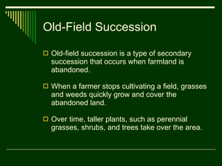 Old-Field Succession Old-field succession is a type of secondary succession that occurs when farmland is abandoned.  When a farmer stops cultivating a field, grasses and weeds quickly grow and cover the abandoned land. Over time, taller plants, such as perennial grasses, shrubs, and trees take over the area. 