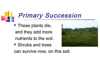 Primary Succession
 These plants die,
and they add more
nutrients to the soil.
 Shrubs and trees
can survive now, on this soil.
 