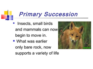 Primary Succession
 Insects, small birds
and mammals can now
begin to move in.
 What was earlier
only bare rock, now
supports a variety of life
 