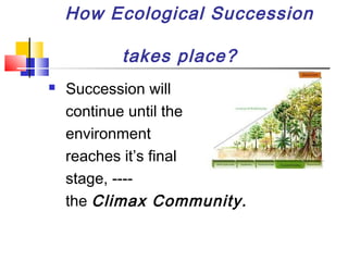 How Ecological Succession
takes place?
 Succession will
continue until the
environment
reaches it’s final
stage, ----
the Climax Community.
 