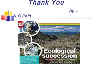 Thank You
By –
N.G.Palit
 