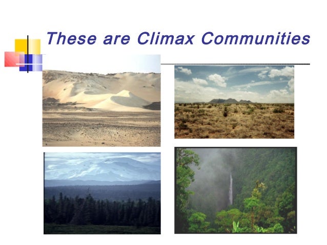 Ecological Succession