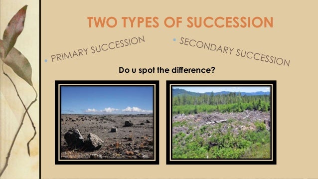Ecological succession essay questions