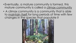 • Eventually, a mature community is formed, this
mature community is called a climax community
• A climax community is a community that is able
to maintain itself for long periods of time with few
changes in the species that populate it
 