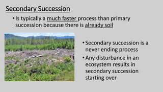 Secondary Succession
•Is typically a much faster process than primary
succession because there is already soil
•Secondary succession is a
never ending process
•Any disturbance in an
ecosystem results in
secondary succession
starting over
 