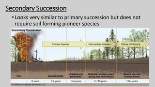 Secondary Succession
•Looks very similar to primary succession but does not
require soil forming pioneer species
 