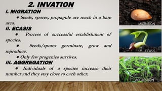 Ecological succession | PPTX