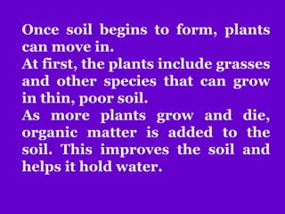 Once soil begins to form, plants
can move in.
At first, the plants include grasses
and other species that can grow
in thin, poor soil.
As more plants grow and die,
organic matter is added to the
soil. This improves the soil and
helps it hold water.
 