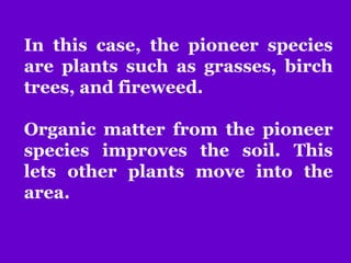 In this case, the pioneer species
are plants such as grasses, birch
trees, and fireweed.
Organic matter from the pioneer
species improves the soil. This
lets other plants move into the
area.
 
