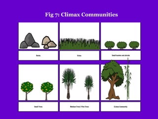 Fig 7: Climax Communities
 