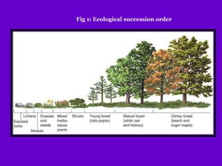Fig 1: Ecological succession order
 