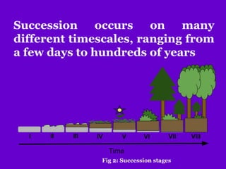 Succession occurs on many
different timescales, ranging from
a few days to hundreds of years
Fig 2: Succession stages
 
