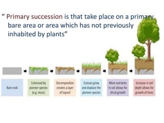 “ Primary succession is that take place on a primary
bare area or area which has not previously
inhabited by plants”
 