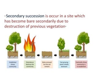 “ Secondary succession is occur in a site which
has become bare secondarily due to
destruction of previous vegetation”
 