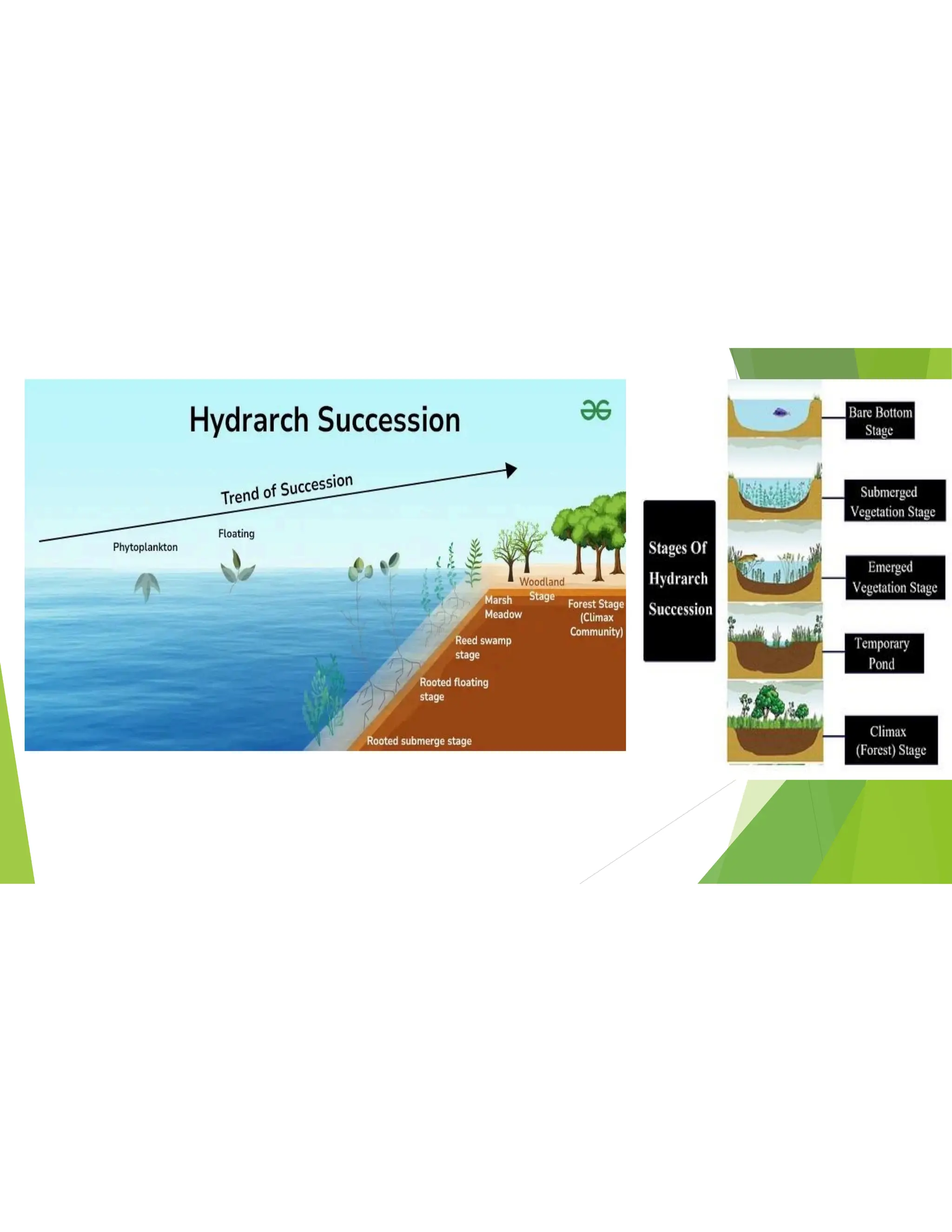 ecological succession Types , mechanism,communities | PDF