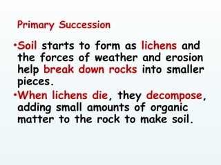 Primary Succession
•Soil starts to form as lichens and
the forces of weather and erosion
help break down rocks into smaller
pieces.
•When lichens die, they decompose,
adding small amounts of organic
matter to the rock to make soil.
 