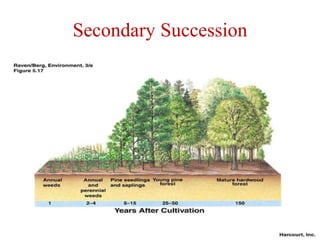 Succession Types Ecological Succession and its types and details | PPTX