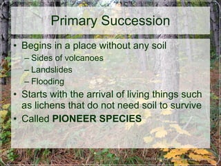 Primary Succession Begins in a place without any soil  Sides of volcanoes Landslides Flooding Starts with the arrival of living things such as lichens that do not need soil to survive Called  PIONEER SPECIES 