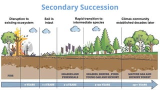 Ecological Succession Primary and Secondary Succession | PPTX