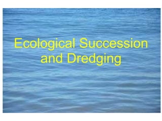 Ecological Succession and Dredging 