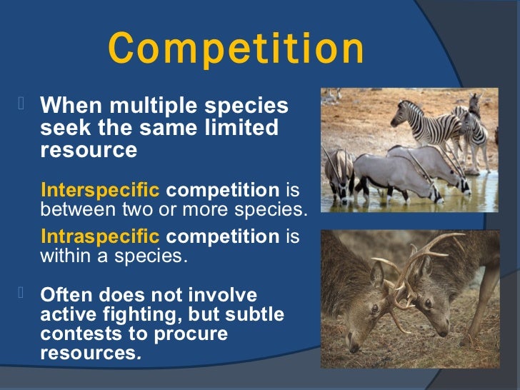 Ecology Exploring Science