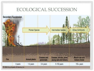 ECOLOGICAL SUCCESSION
•N
 