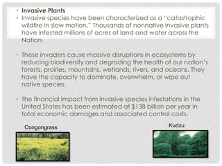 • Invasive Plants
• Invasive species have been characterized as a “catastrophic
wildfire in slow motion.” Thousands of nonnative invasive plants
have infested millions of acres of land and water across the
Nation.
• These invaders cause massive disruptions in ecosystems by
reducing biodiversity and degrading the health of our nation’s
forests, prairies, mountains, wetlands, rivers, and oceans. They
have the capacity to dominate, overwhelm, or wipe out
native species.
• The financial impact from invasive species infestations in the
United States has been estimated at $138 billion per year in
total economic damages and associated control costs.
Congongrass Kudzu
 