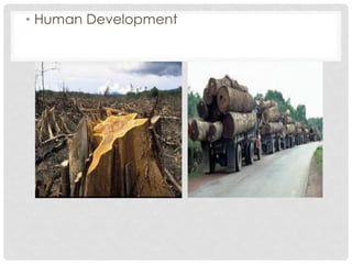 • Human Development
 