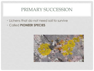 PRIMARY SUCCESSION
• Lichens that do not need soil to survive
• Called PIONEER SPECIES
 