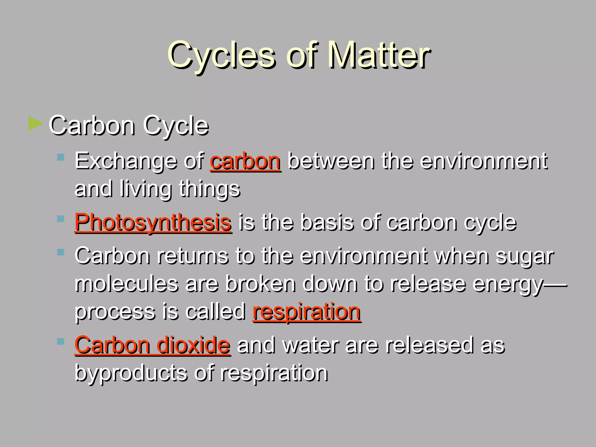Cycles of MatterCycles of Matter
►Carbon CycleCarbon Cycle
 Exchange ofExchange of carboncarbon between the environmentbetween the environment
and living thingsand living things
 PhotosynthesisPhotosynthesis is the basis of carbon cycleis the basis of carbon cycle
 Carbon returns to the environment when sugarCarbon returns to the environment when sugar
molecules are broken down to release energy—molecules are broken down to release energy—
process is calledprocess is called respirationrespiration
 Carbon dioxideCarbon dioxide and water are released asand water are released as
byproducts of respirationbyproducts of respiration
 