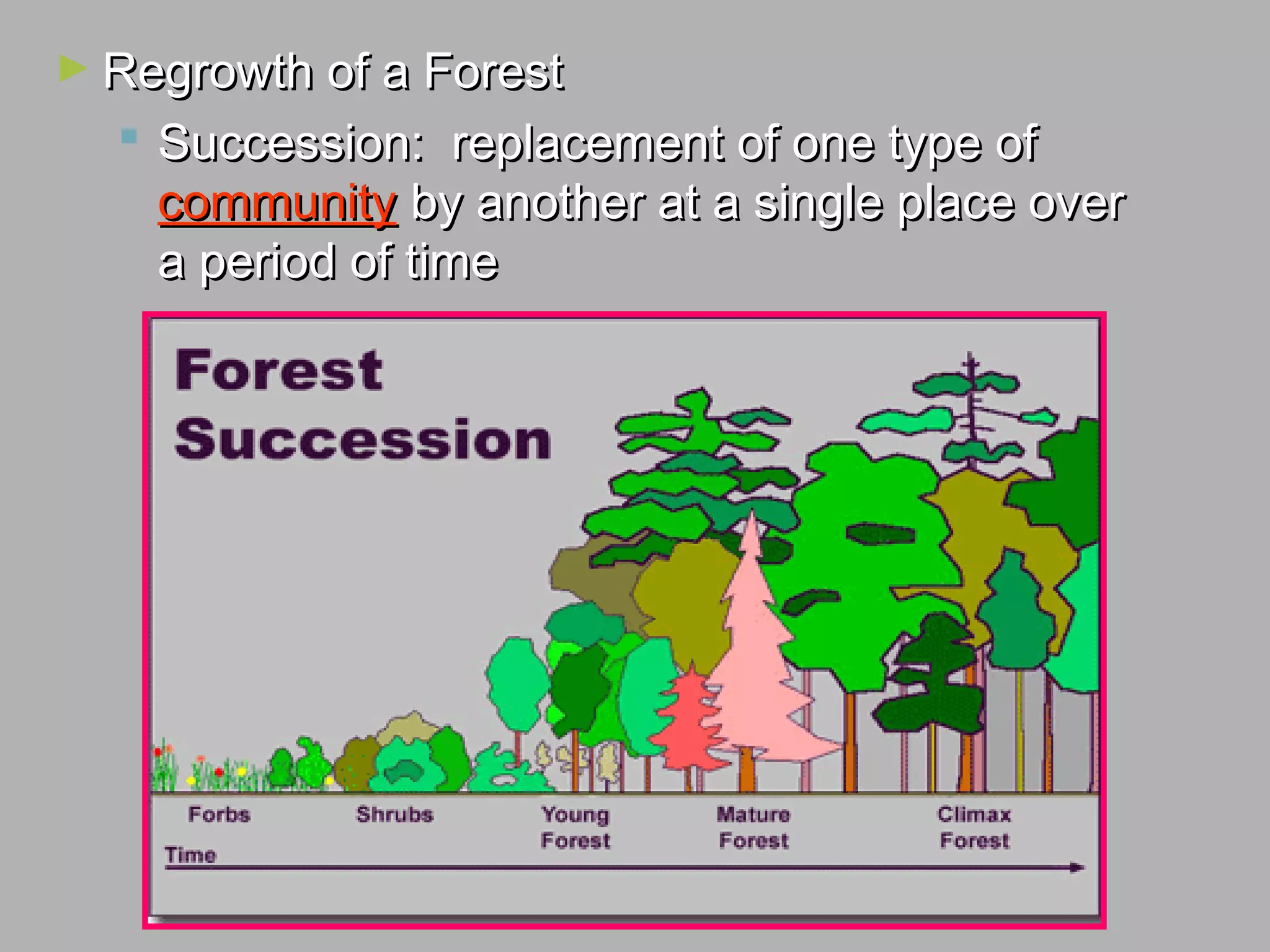 ► Regrowth of a ForestRegrowth of a Forest
 Succession: replacement of one type ofSuccession: replacement of one type of
communitycommunity by another at a single place overby another at a single place over
a period of timea period of time
 