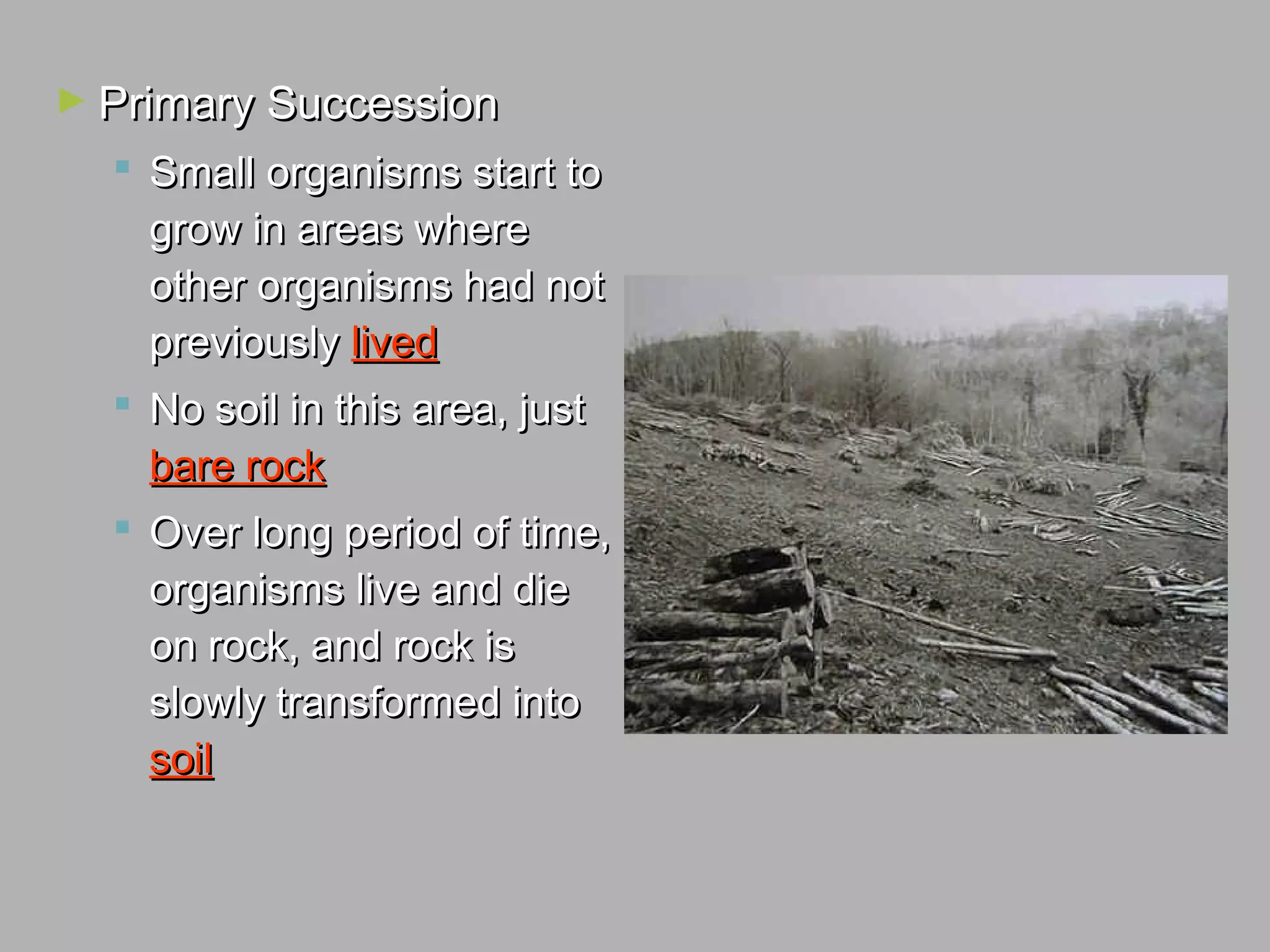 ► Primary SuccessionPrimary Succession
 Small organisms start toSmall organisms start to
grow in areas wheregrow in areas where
other organisms had notother organisms had not
previouslypreviously livedlived
 No soil in this area, justNo soil in this area, just
bare rockbare rock
 Over long period of time,Over long period of time,
organisms live and dieorganisms live and die
on rock, and rock ison rock, and rock is
slowly transformed intoslowly transformed into
soilsoil
 