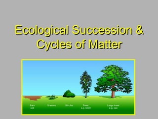 Ecological Succession &Ecological Succession &
Cycles of MatterCycles of Matter
 