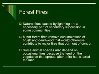 Ecological succession good | PPT