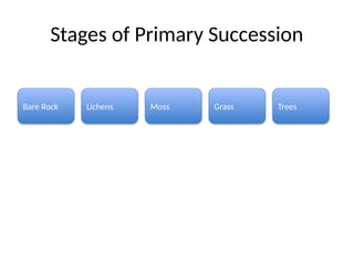 Ecological_Succession_Visual powerpoint.pptx