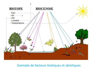 Exemple de facteurs biotiques et abiotiques
 