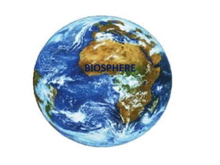 BIOSPHERE
 