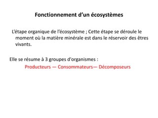 Fonctionnement d’un écosystèmes
L’étape organique de l’écosystème ; Cette étape se déroule le
moment où la matière minérale est dans le réservoir des êtres
vivants.
Elle se résume à 3 groupes d'organismes :
Producteurs — Consommateurs— Décomposeurs
 