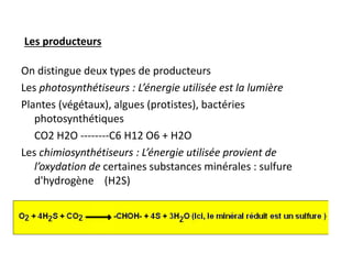 On distingue deux types de producteurs
Les photosynthétiseurs : L’énergie utilisée est la lumière
Plantes (végétaux), algues (protistes), bactéries
photosynthétiques
CO2 H2O --------C6 H12 O6 + H2O
Les chimiosynthétiseurs : L’énergie utilisée provient de
l’oxydation de certaines substances minérales : sulfure
d'hydrogène (H2S)
Les producteurs
 