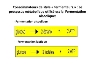 Consommateurs de style « fermenteurs » : Le
processus métabolique utilisé est la Fermentation
alcoolique:
- Fermentation alcoolique
- Fermentation lactique
 