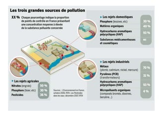 ECOLOGIE-VEGETALE__________________.pptx