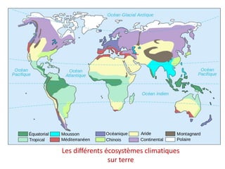 Les différents écosystèmes climatiques
sur terre
 