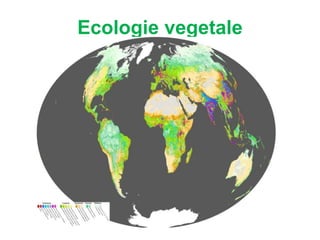 Ecologie vegetale
 