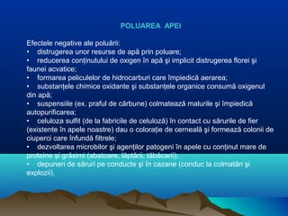 POLUAREA APEI
Efectele negative ale poluării:
• distrugerea unor resurse de apă prin poluare;
• reducerea conţinutului de oxigen în apă şi implicit distrugerea florei şi
faunei acvatice;
• formarea peliculelor de hidrocarburi care împiedică aerarea;
• substanţele chimice oxidante şi substanţele organice consumă oxigenul
din apă;
• suspensiile (ex. praful de cărbune) colmatează malurile şi împiedică
autopurificarea;
• celuloza sulfit (de la fabricile de celuloză) în contact cu sărurile de fier
(existente în apele noastre) dau o coloraţie de cerneală şi formează colonii de
ciuperci care înfundă filtrele;
• dezvoltarea microbilor şi agenţilor patogeni în apele cu conţinut mare de
proteine şi grăsimi (abatoare, lăptării, tăbăcarii);
• depuneri de săruri pe conducte şi în cazane (conduc la colmatări şi
explozii).
 